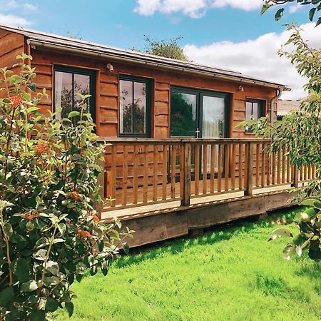 The Holford Arms Chalets And Glamping Hotell Didmarton Exteriör bild