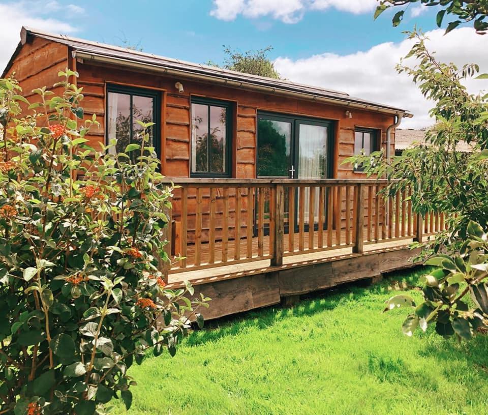 The Holford Arms Chalets And Glamping Hotell Didmarton Exteriör bild