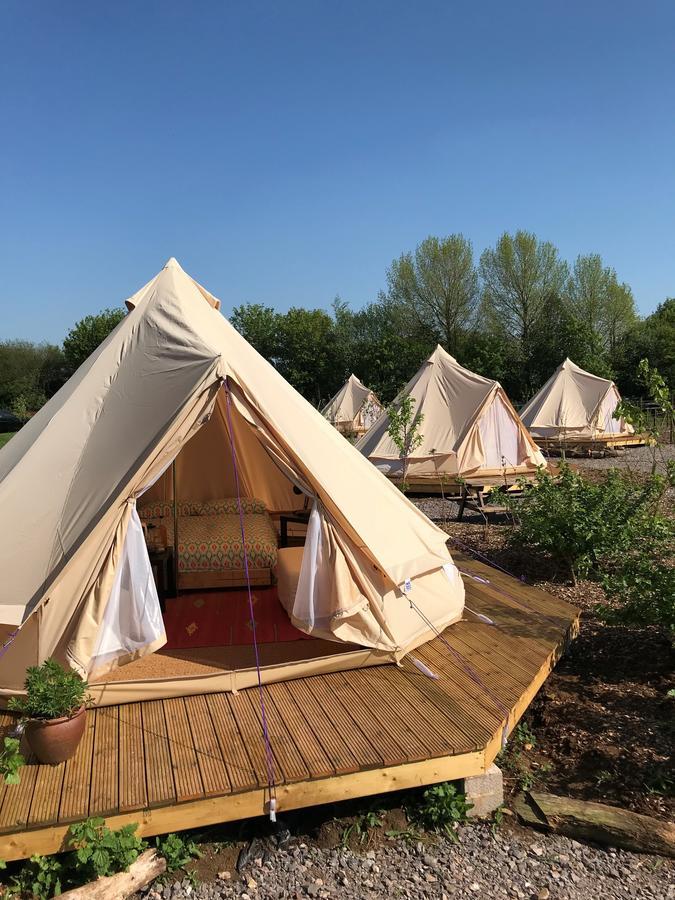 The Holford Arms Chalets And Glamping Hotell Didmarton Exteriör bild